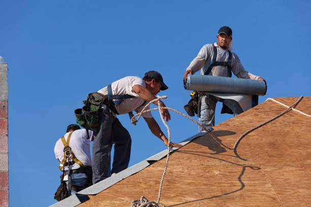 Best New Roof Installation  in Laurel Park, NC
