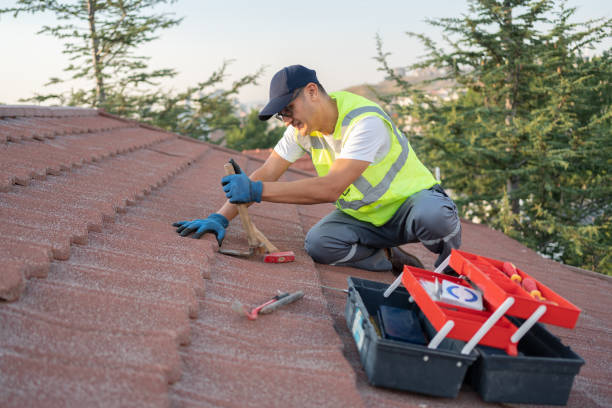 Best Roof Maintenance Services  in Laurel Park, NC