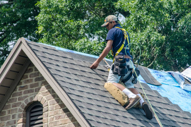 Best Metal Roofing Contractor  in Laurel Park, NC